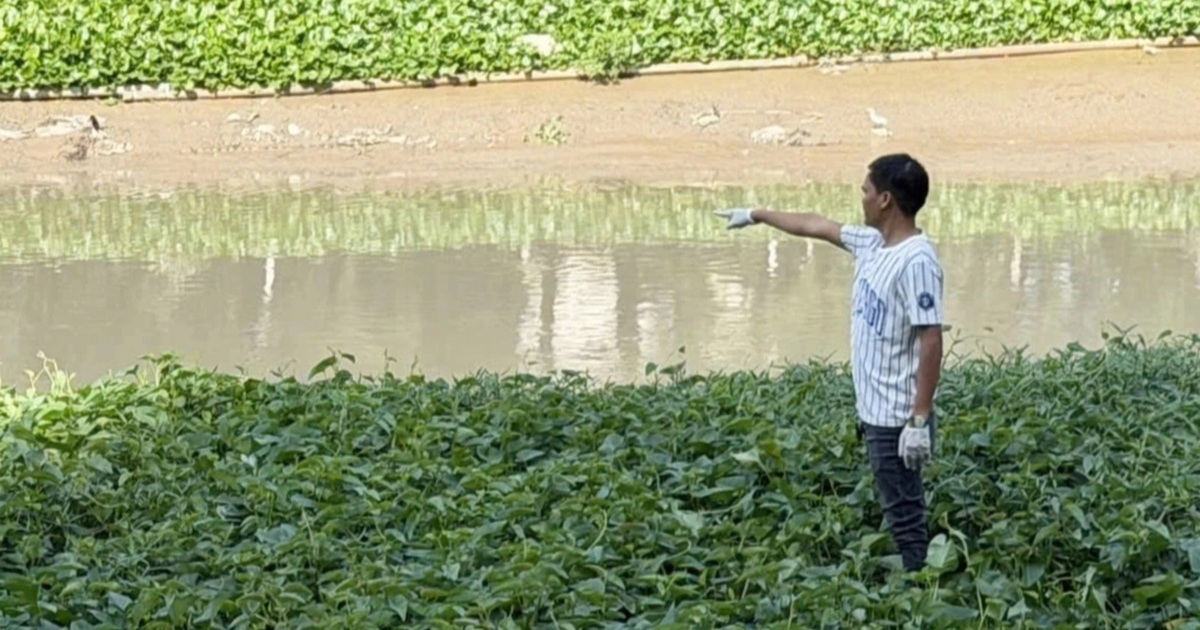 Thi thể nam giới nổi trên rạch ở TPHCM