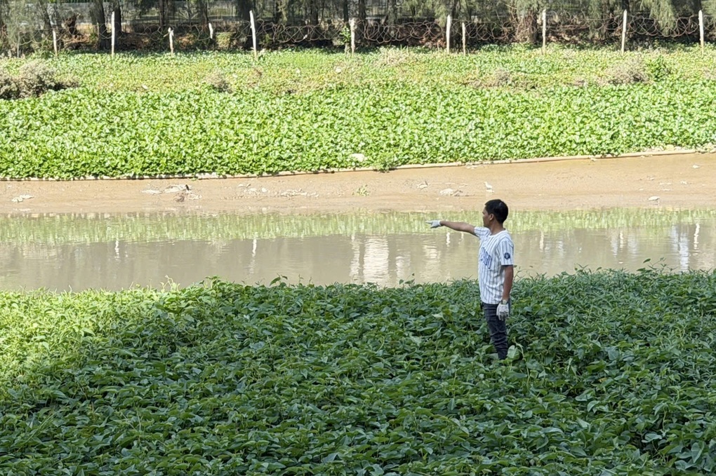 Thi thể nam giới nổi trên rạch ở TPHCM - 1