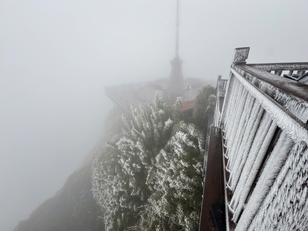 Đỉnh Fansipan -2 độ C, băng giá phủ trắng - 1 Đỉnh Fansipan -2 độ C, băng giá phủ trắng - 1