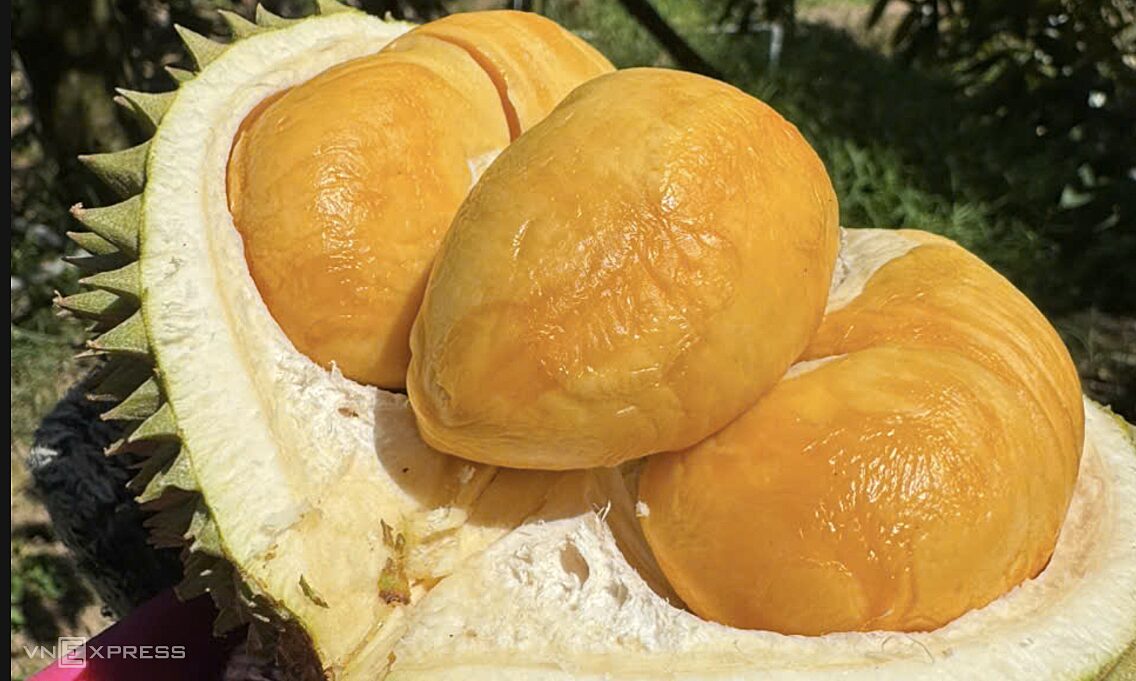 Rau quả Việt tăng trưởng mạnh nhất tại Trung Quốc