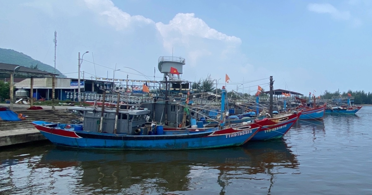 Ngư dân Huế đánh bắt xa bờ được hỗ trợ tiền nhiên liệu sau 2 năm chờ đợi