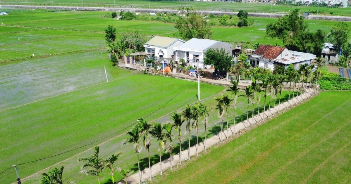 Tết ấm áp trong những mái nhà hồi sinh sau bão lũ