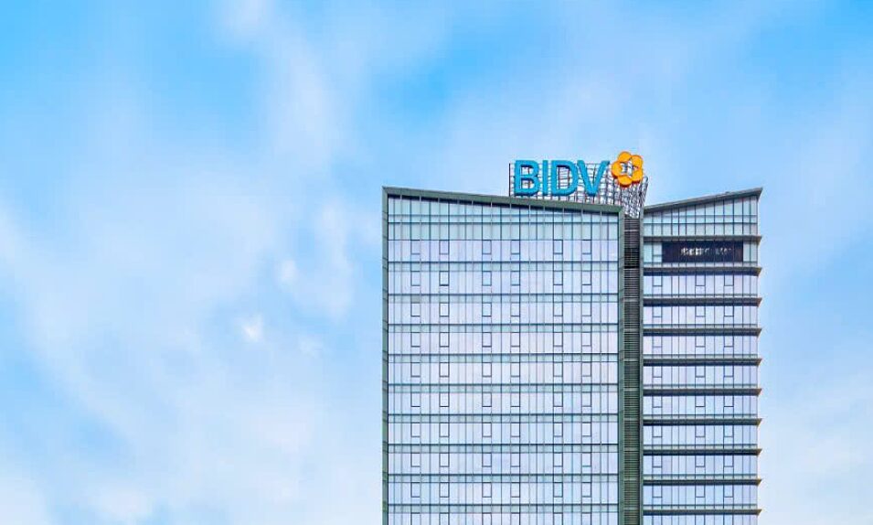 33 ‘cá mập’ sẽ mua hơn 264 triệu cổ phiếu BIDV