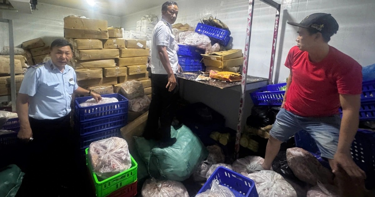 Phát hiện hơn 700kg cá, thịt đông lạnh không rõ nguồn gốc ở TPHCM