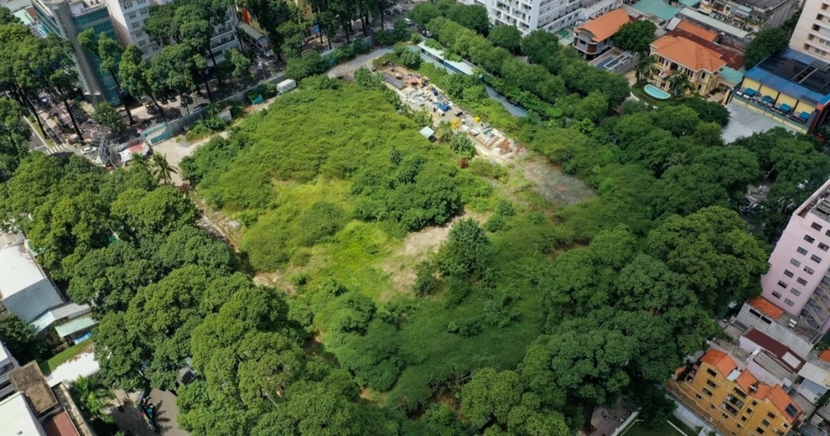 TPHCM phá rào 9 khu đất trống để làm vườn hoa dịp Tết Bính Ngọ 2026