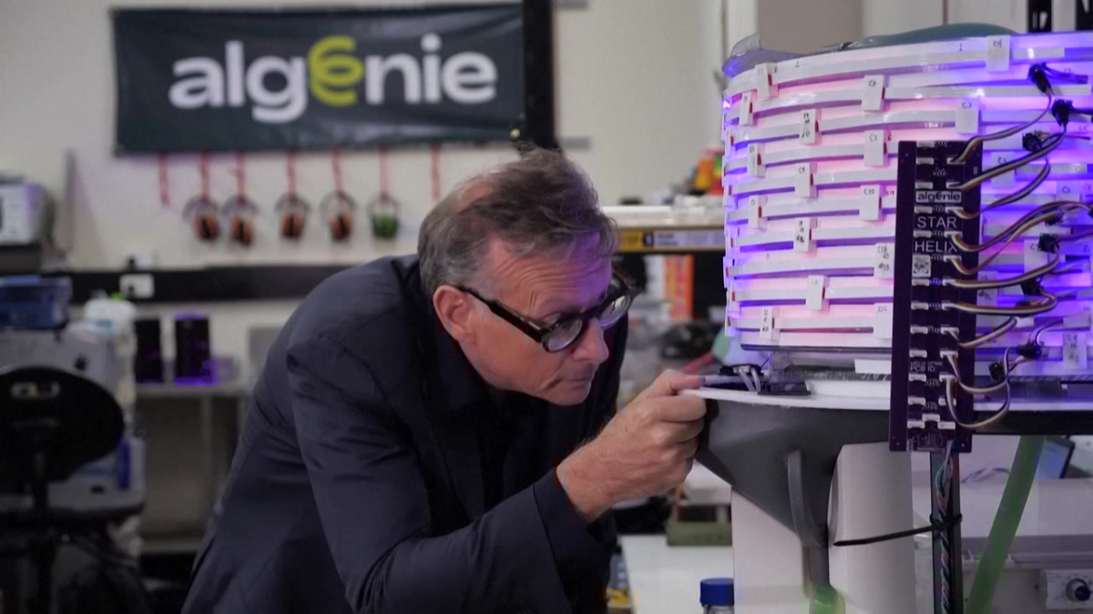 Australia phát triển máy nuôi tảo cho ngành nhựa, thực phẩm