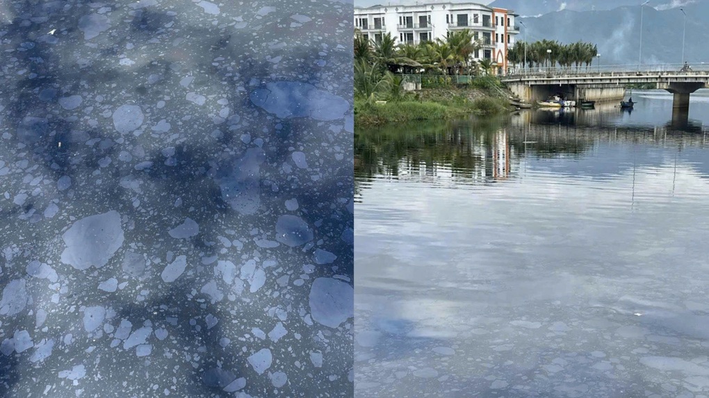 Vết dầu loang nổi từng mảng trên sông ở Đà Nẵng - 1