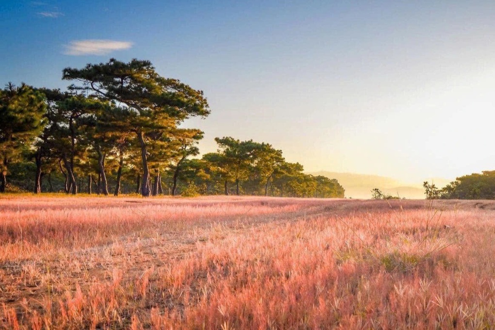 Dự án sân golf Đăk Đoa “đắp chiếu” nhiều năm có nhà đầu tư mới - 2 Dự án sân golf Đăk Đoa “đắp chiếu” nhiều năm có nhà đầu tư mới - 2