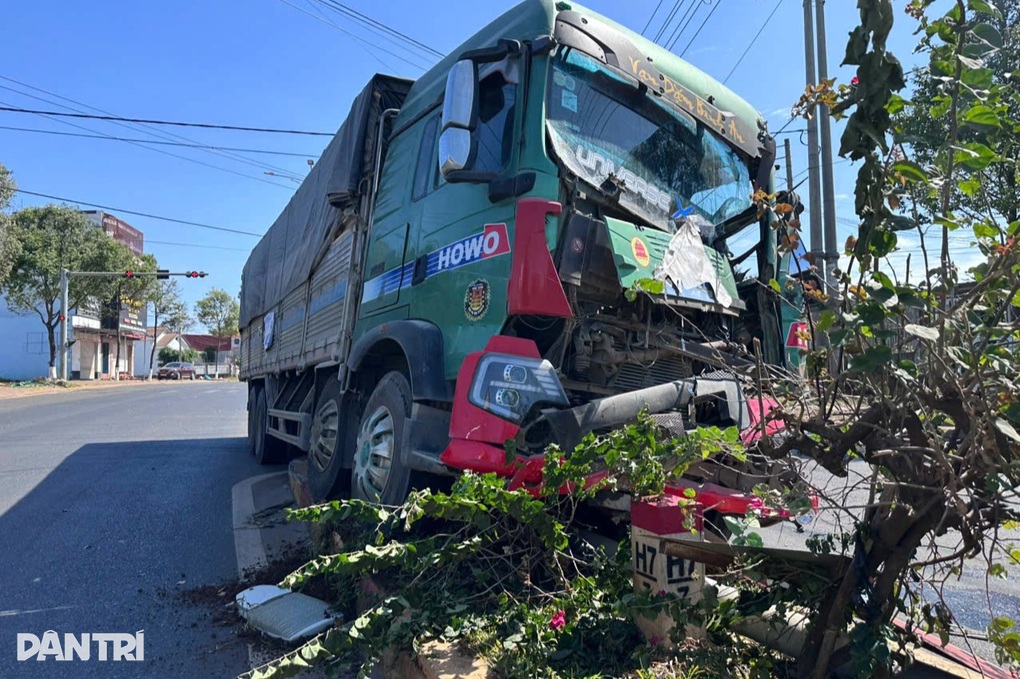 Xe tải gây tai nạn liên hoàn, tông chết và bị thương 3 con bò - 1