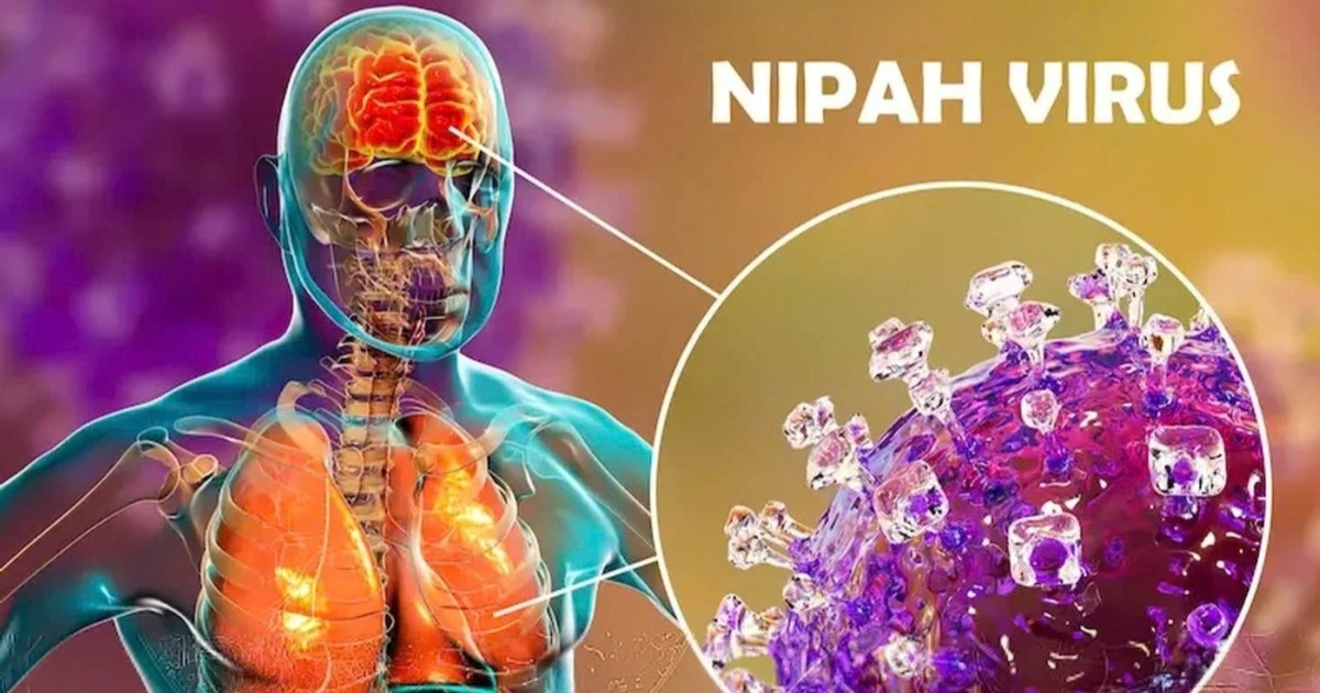 Bộ Ngoại giao thông tin về tình hình virus Nipah tại Việt Nam