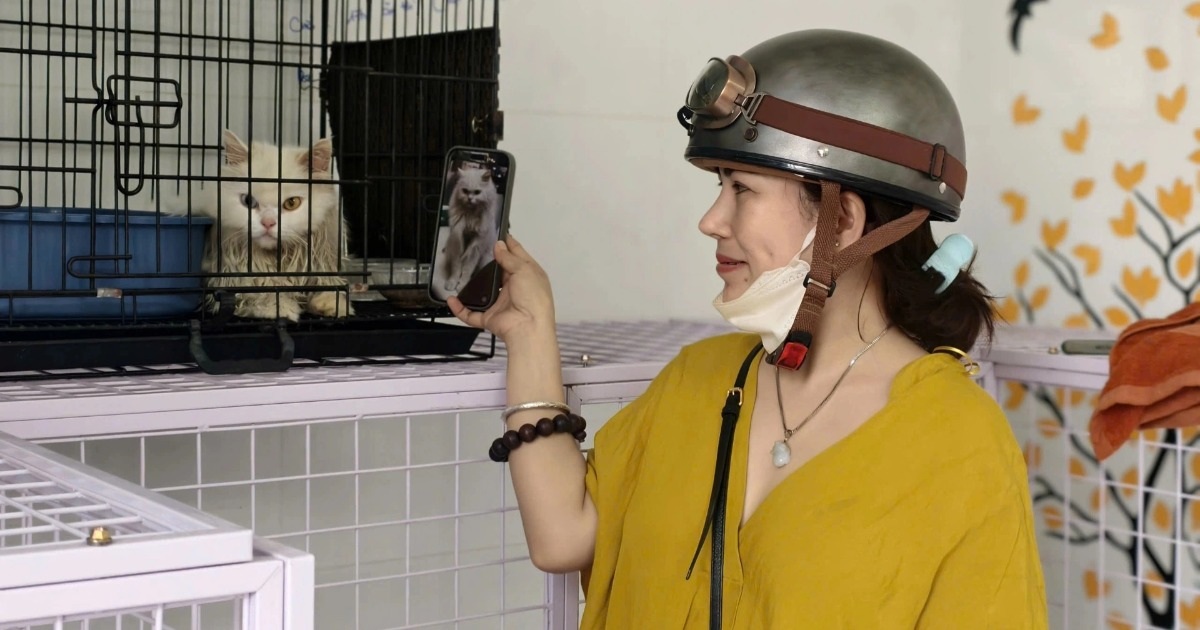 Từ sào huyệt băng trộm chó, mèo ở TPHCM đến cuộc gặp lại cảm xúc