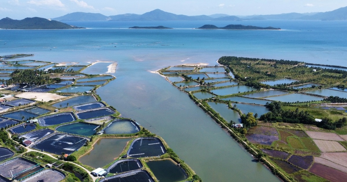 Thực hư thông tin xây cầu vượt biển qua vịnh Vân Phong