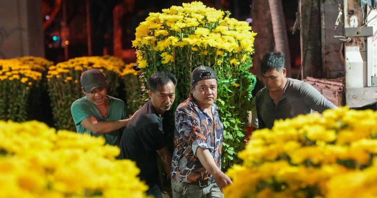 Rộn ràng chợ hoa Tết: Tiểu thương xuyên đêm đưa “mùa xuân” về TPHCM