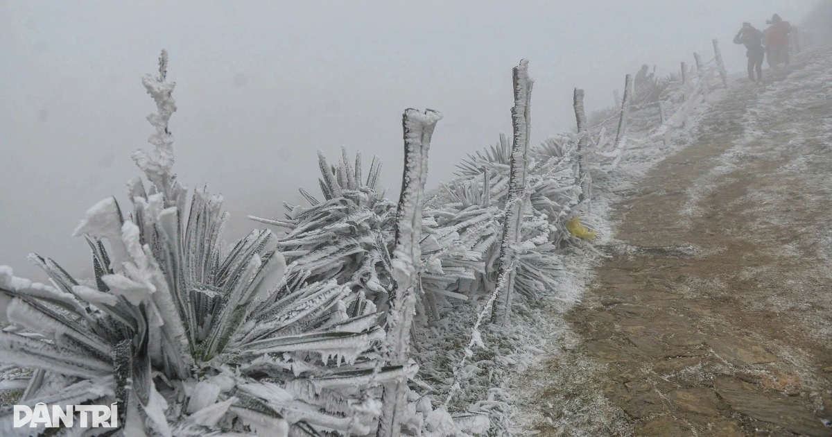 Vùng núi miền Bắc có thể đón băng giá và mưa tuyết