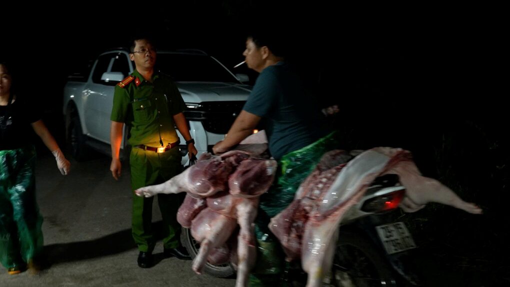 Hơn 4.600 vi phạm hành chính lĩnh vực thú y bị phát hiện - 2