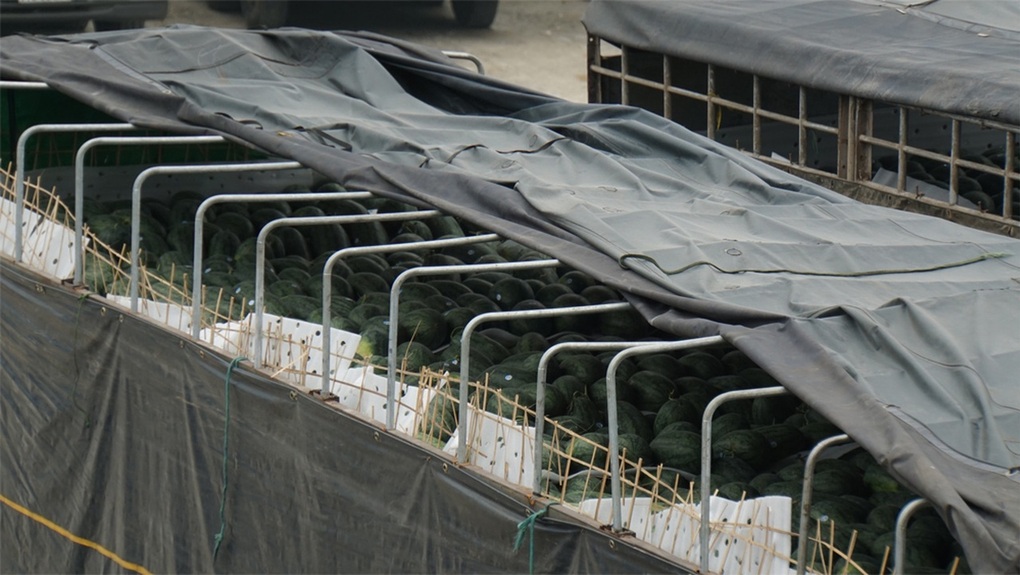 Chính phủ yêu cầu cấp bách hướng dẫn kiểm tra thực phẩm nhập khẩu - 1