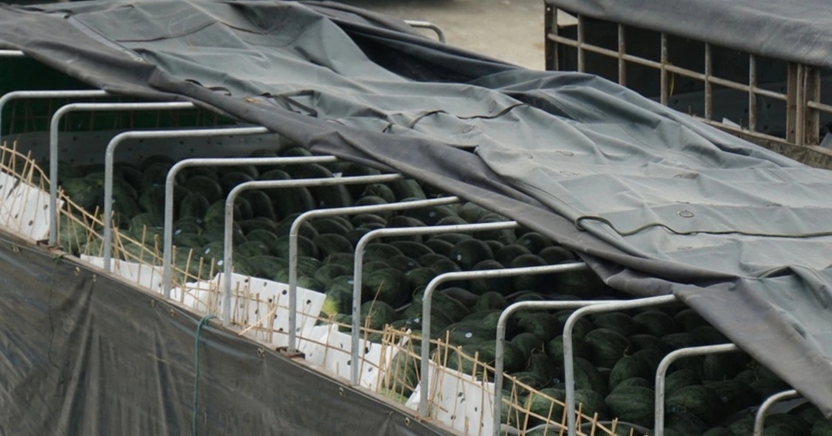 Chính phủ yêu cầu “cấp bách hướng dẫn kiểm tra thực phẩm nhập khẩu”