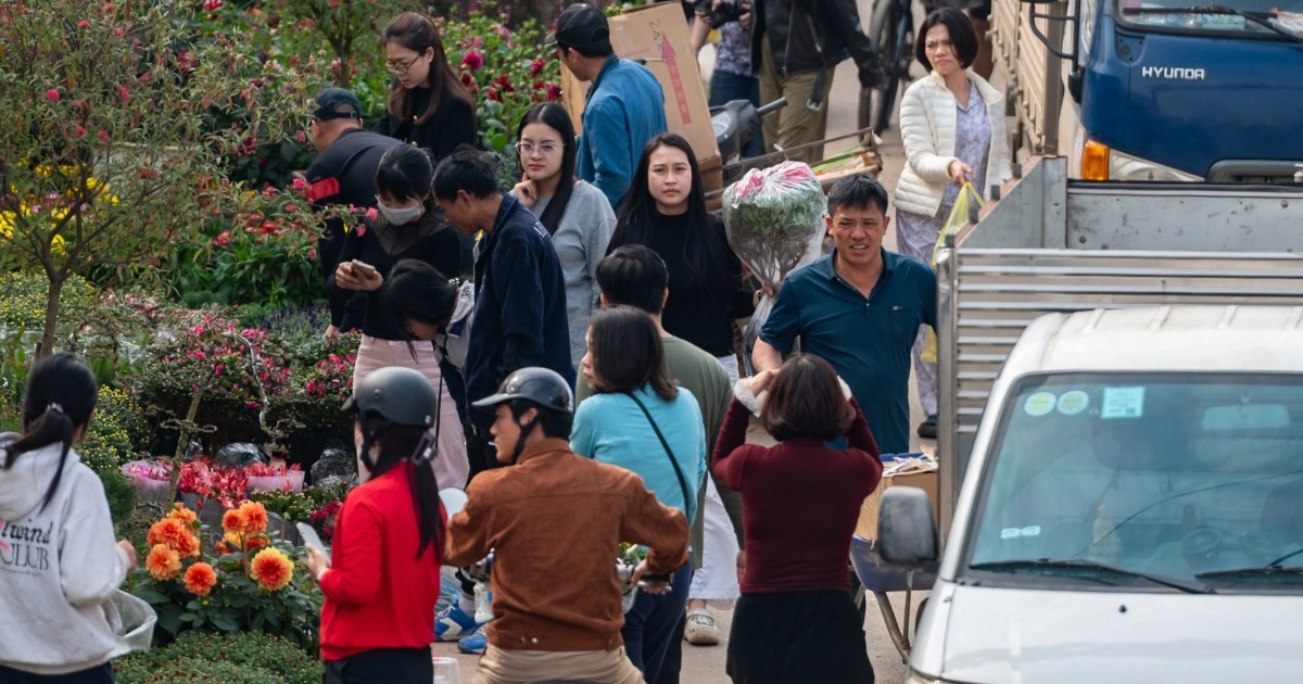 Nhộn nhịp mua bán ở chợ cây cảnh lớn nhất miền Bắc dịp sát Tết