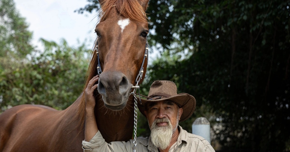 Hồi ức vó ngựa phương Nam nơi “thủ phủ” đua ngựa lặng tiếng