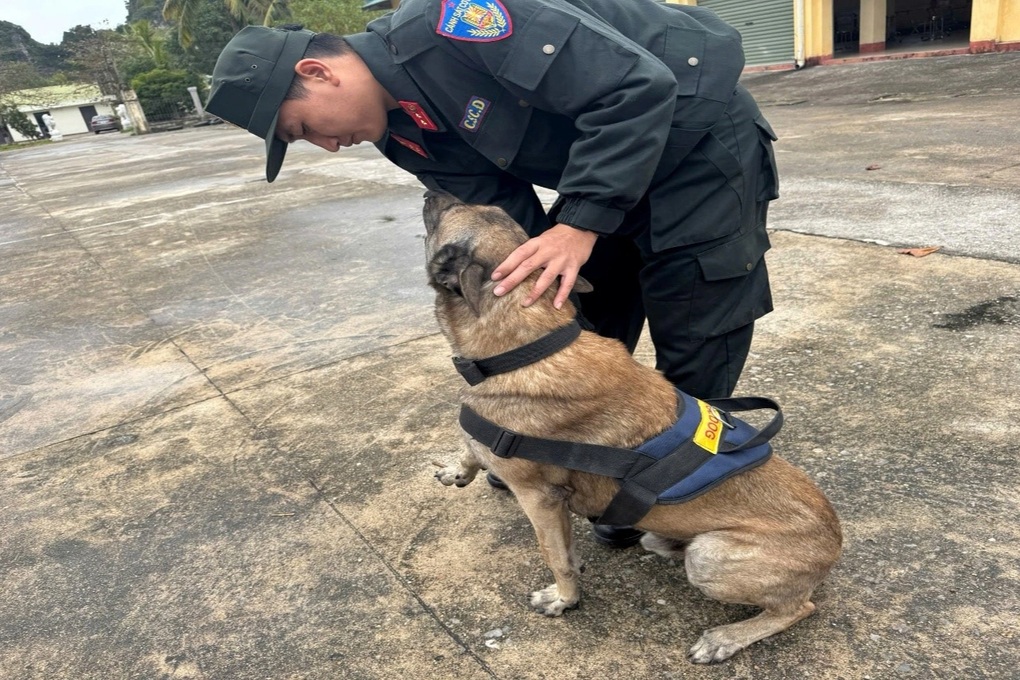 Ứng dụng khoa học công nghệ trong huấn luyện “vũ khí đặc biệt” cảnh khuyển - 2