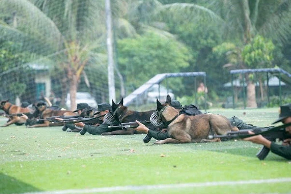 Ứng dụng khoa học công nghệ trong huấn luyện “vũ khí đặc biệt” cảnh khuyển - 1