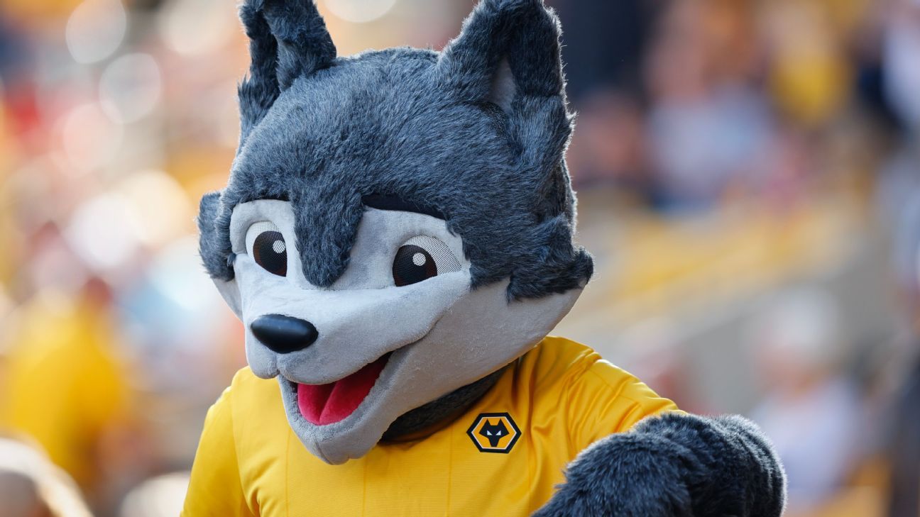 Fed by the Wolves: Mascot gets kid’s chicken nuggets back