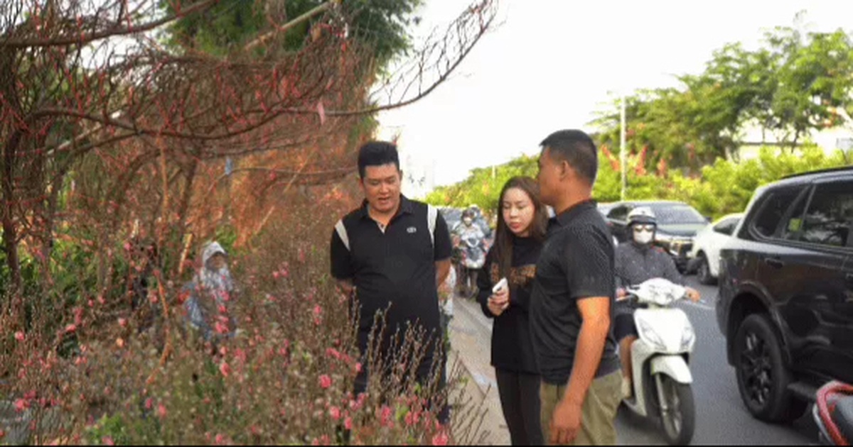 Sắc xuân miền Bắc xuất hiện giữa lòng TPHCM