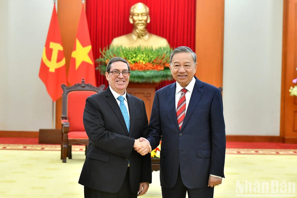 Tổng Bí thư: Việt Nam luôn ủng hộ và sát cánh cùng nhân dân Cuba - 1