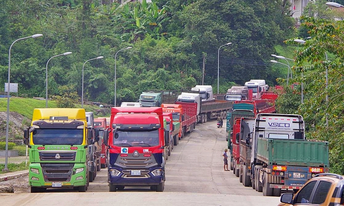 Đề xuất phân cấp địa phương kiểm tra thực phẩm nhập khẩu để giảm ùn tắc