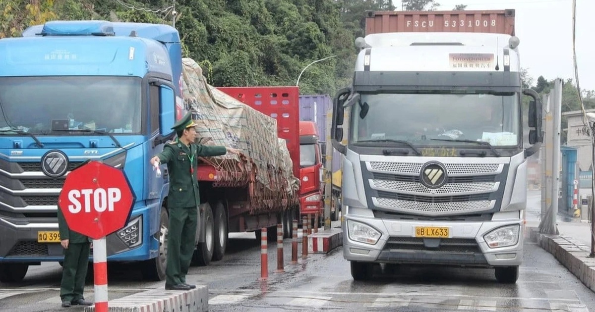 Lập đường dây nóng gỡ vướng mắc, đẩy nhanh thông quan nông sản nhập khẩu