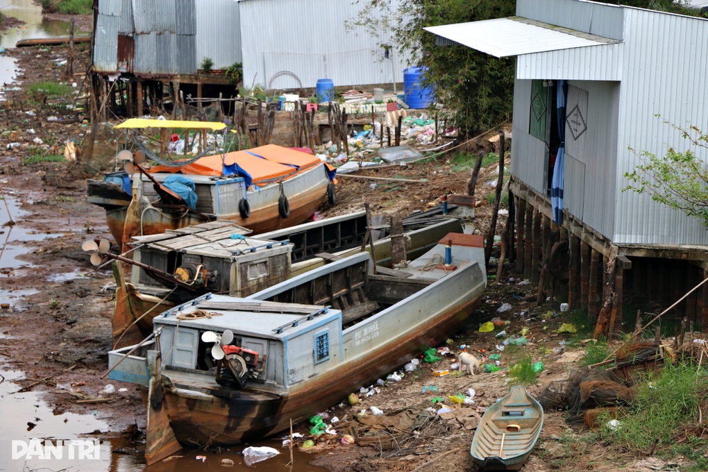An Giang: Xâm nhập mặn có xu thế tăng phức tạp trước Tết - 1