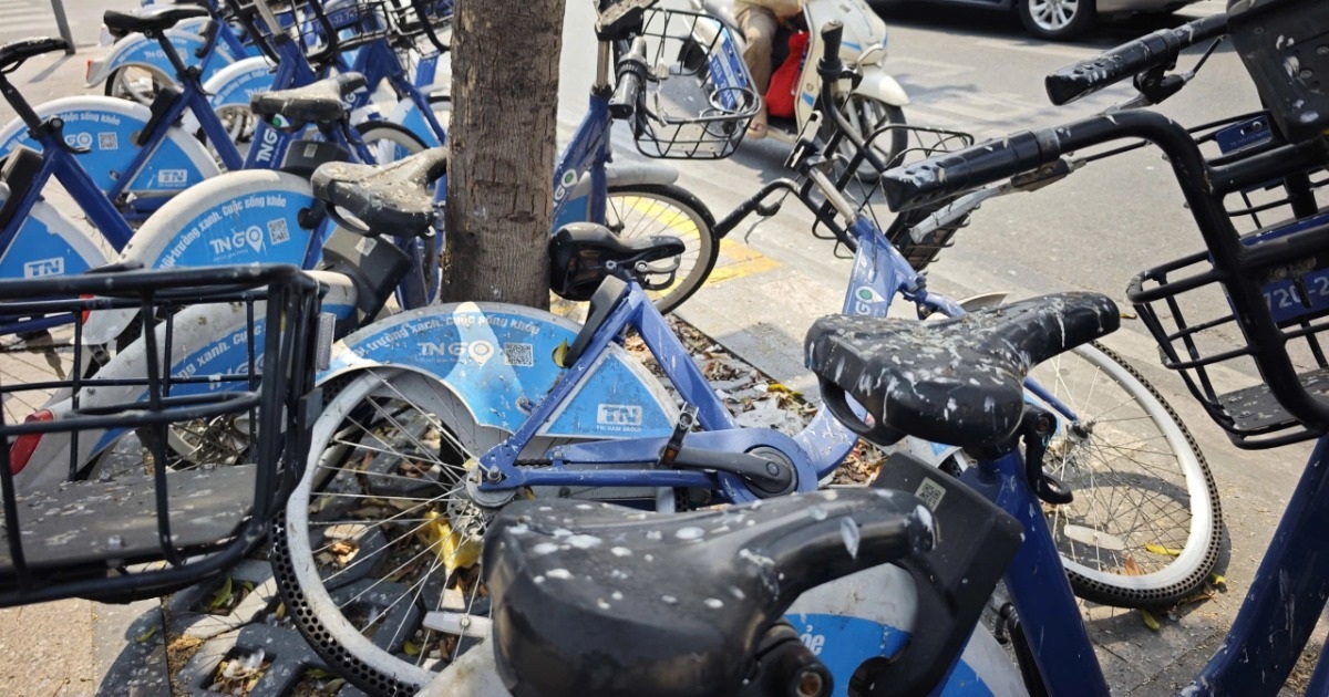 Chim bồ câu gây ô nhiễm trạm xe đạp công cộng ở TPHCM