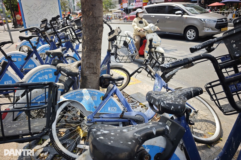 Chim bồ câu gây ô nhiễm trạm xe đạp công cộng ở TPHCM - 1